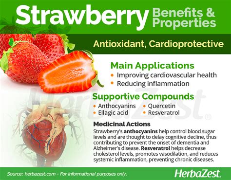 Strawberry Herbazest