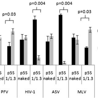 Localization Of The Hiv Pfv Mlv And Asv Integration Sites In Both