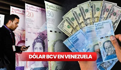 Dólar Bcv Hoy 6 De Septiembre 2023 Según El Banco Central De Venezuela