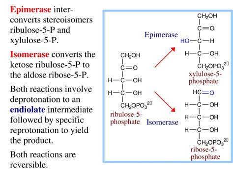 PPT Lecture On Pentose Phosphate Pathway AssignmentPoint PowerPoint