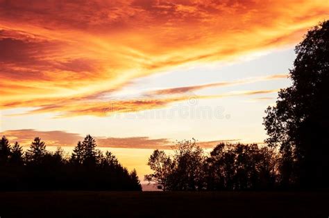 Cielo De La Salida Del Sol O De La Puesta Del Sol Con Las Nubes Y La