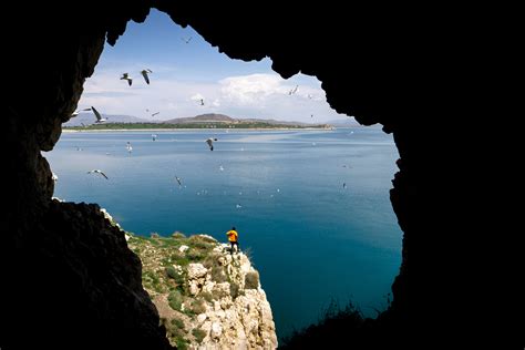 Cave Birds Photos, Download The BEST Free Cave Birds Stock Photos & HD ...