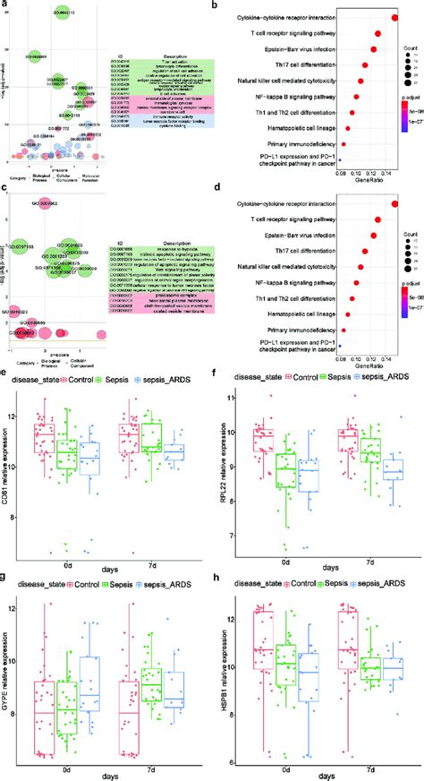 Module Functional Enrichment Analysis And Identification Of Key Genes