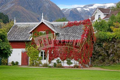 Balestrand, Norway - Red Studio