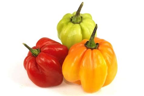 Scotch Bonnet Peppers - Taste the Islands