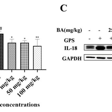 Detection Of PANX 1 P2X7 And P2Y6 Expression Induced By G Parasuis