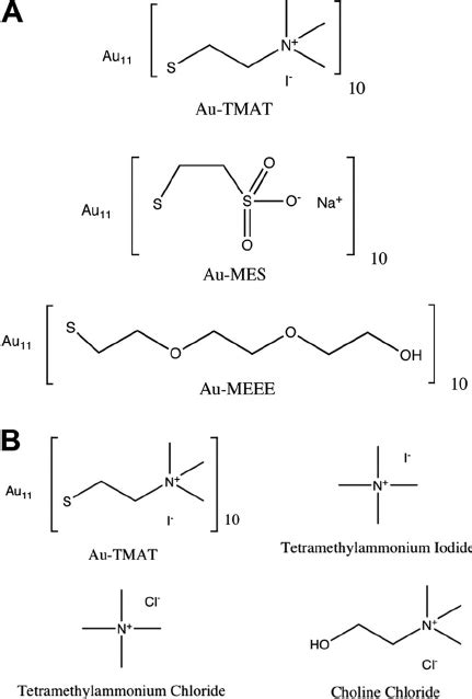 Structures Of The 0 8 Nm Aunps And Analogs A Functional Groups Download Scientific Diagram