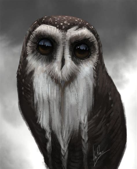 Fourth Kind Owl