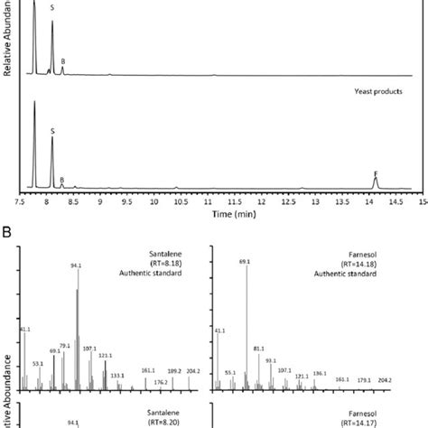 A Total Ion Chromatograms From Gc Ms Analysis Of Authentic Standard