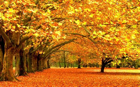 Autumn Scenes Wallpapers - Wallpaper Cave