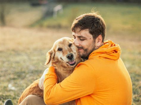 Sinais De Que Seu Cachorro Feliz Voc E Te Ama