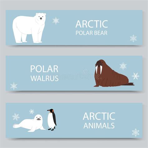 Banderoles De Dessin Anim Sur Les Animaux De L Arctique Et Le P Le