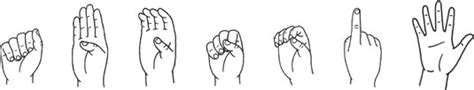 ASL: How to Make Handshapes Like a Lifelong Signer - dummies