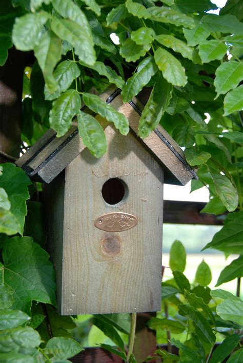 Esschert Vogelhuis Winterkoning Bitumen Dak Kopen Haxo