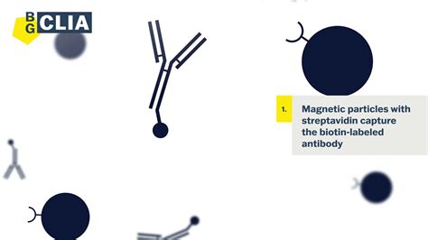 The CLIA Immunoassay How Do Kits Work YouTube