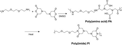 Full Article Calcium Activated Gene Transfection From Dna Poly Amic