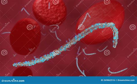 Marburg Virus Disease Concept Virus Illustration Idea 3d Rendering