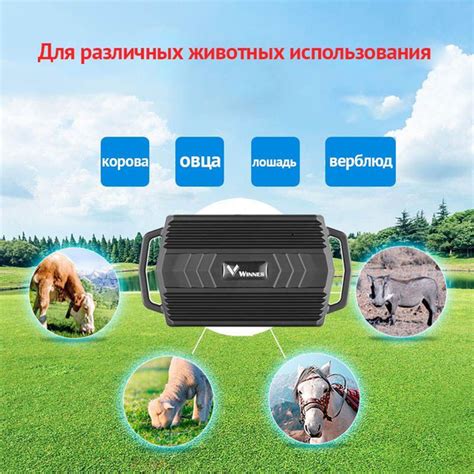 GPS-трекер для питомца GPS-трекеры для использования в автомобилях и на ...