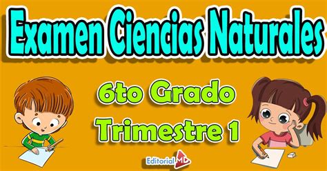 Examen Ciencias Naturales 6 Grado Trimestre 1 Para Contestar