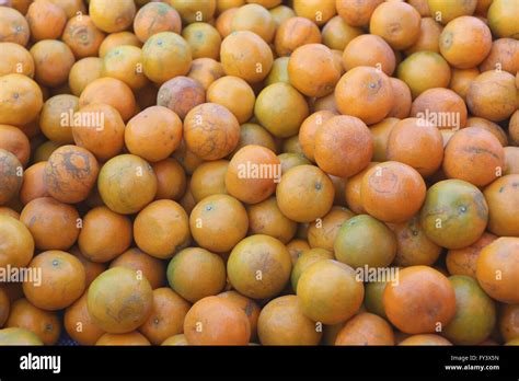 March Aux Oranges Banque De Photographies Et Dimages Haute