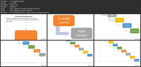 Collection And Dispute Management In Sap S Hana Fscm Softarchive