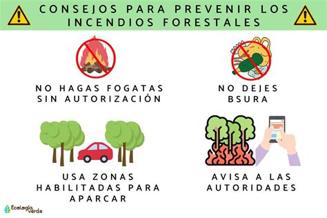 Cómo Prevenir Incendios Forestales En áreas Reforestadas