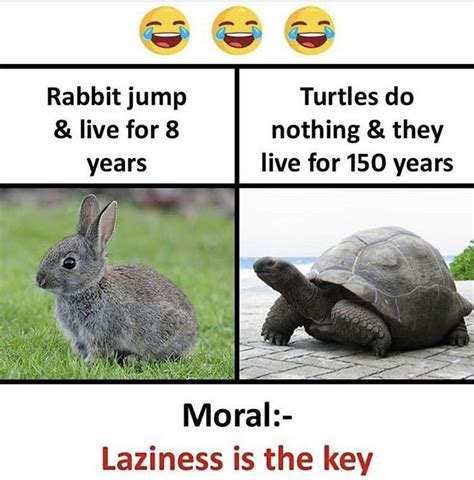 Clearly Who Ever Made This Understands Laziness R Comedycemetery