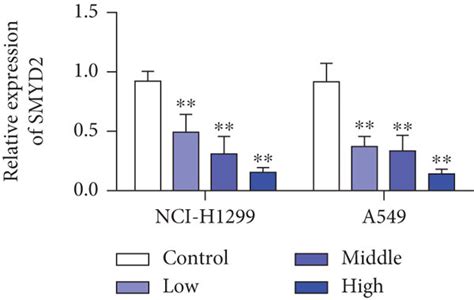 Baicalein Targeted Inhibition Of The SMYD2 RPS7 Signaling Pathway To