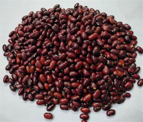 Jammu Red Rajma High In Protein Loose At Best Price In New Delhi ID