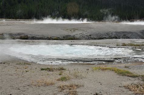 Spouter Geyser Erupting Pm On August Flickr