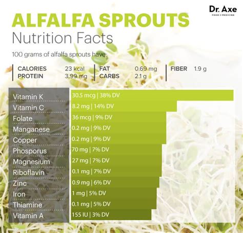 Unlock A Seeds Healthy Enzymes Alfalfa Sprouts Benefits Sprouts