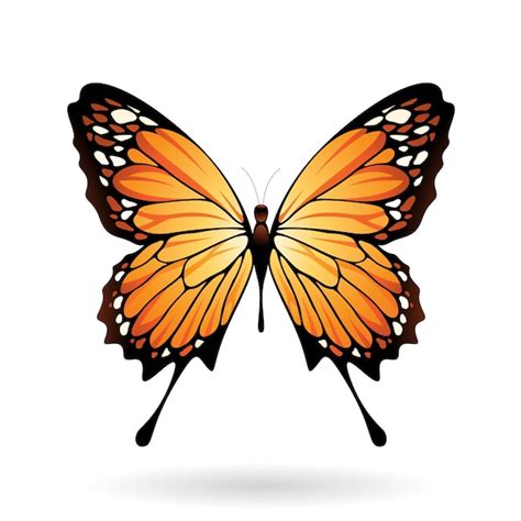 Vectores E Ilustraciones De Mariposas Monarca Png Para Descargar Gratis