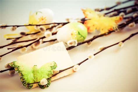 Easter Background With Pussy Willow And Colored Eggs Copy Space Stock Image Image Of Baby