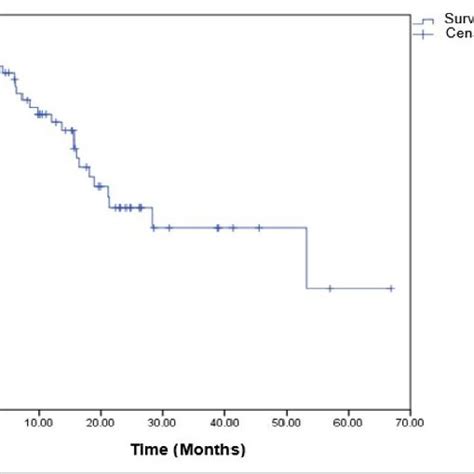 Overall Survival For Patients With Advanced Stage Ovarian Epithelial