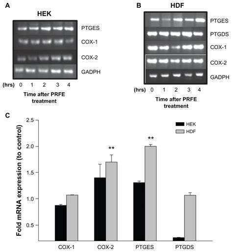 Effect Of Prfe Treatment On Cox Mrna And Prostaglandin D And E Synthase