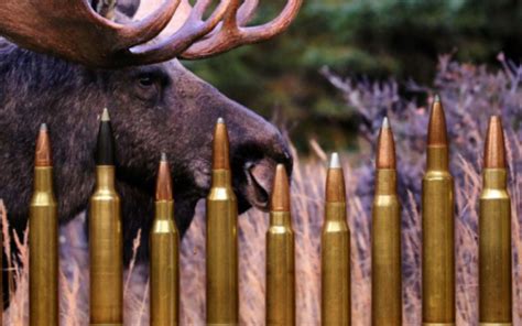 {The 10} Best Deer Hunting Caliber in 2025 [January Tested]