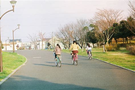 【2020】新潟のおすすめピクニックスポット12選！カップルでのんびりできる公園も！ Kurashi No