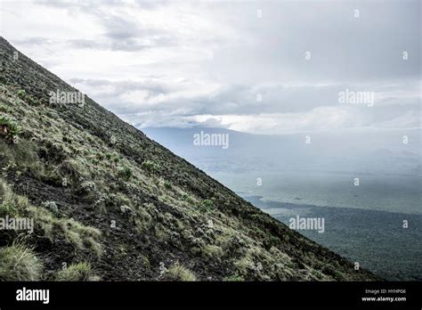 nyiragongo volcano, nord Kivu, DRC Stock Photo - Alamy