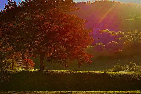 Lumi Re D Automne Dans Le Pr Marie Du Val Couesnon Flickr