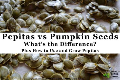 Pepitas Vs Pumpkin Seeds Plus How To Use And Grow Pepitas Pumpkin