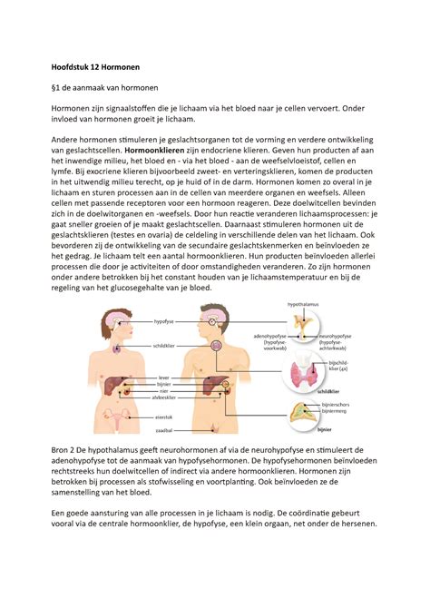 Biologie Samenvatting H Hormonen H Zenuwstelsel Hoofdstuk