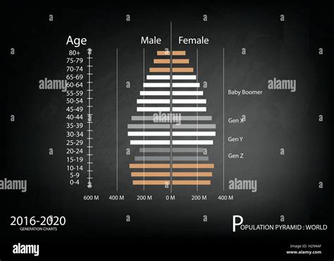 Population And Demography Illustration Of Population Pyramids Chart Or Age Structure Graph With