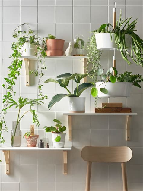 The Power Of Plants Ikea