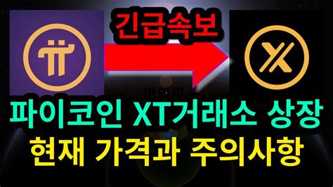 파이코인 Xt거래소 상장 현재 가격과 주의사항 Youtube