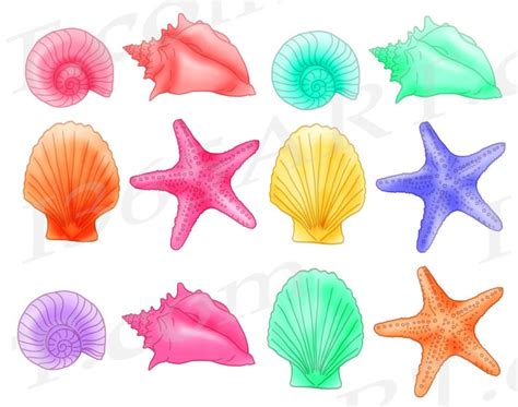 Seashell Clipart Seashell Clip Art Sea Shells Pastel Etsy