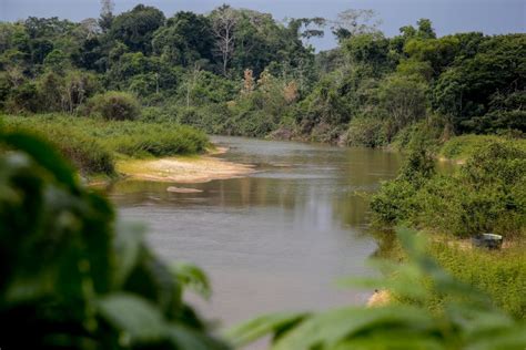 Paisagens Sustentáveis da Amazônia será apresentado pelo Governo de