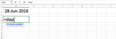 How To Use The DAY Formula In Excel Functions Examples And Writing