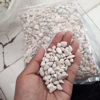 Jual Dd011Fvd Batu Coral Putih Kecil 1 Kg Batu Taman Kecil Batu Sikat