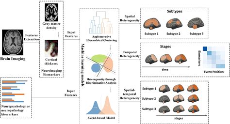 Figure From A Review Of Neuroimaging Based Data Driven Approach For