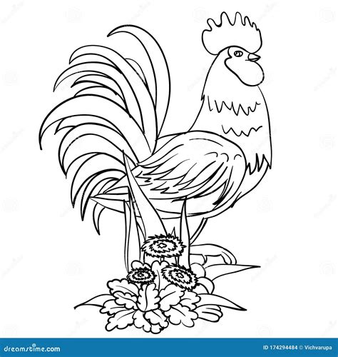 A Rooster Stands Among Grass And Flowers A Drawing Is Made In The